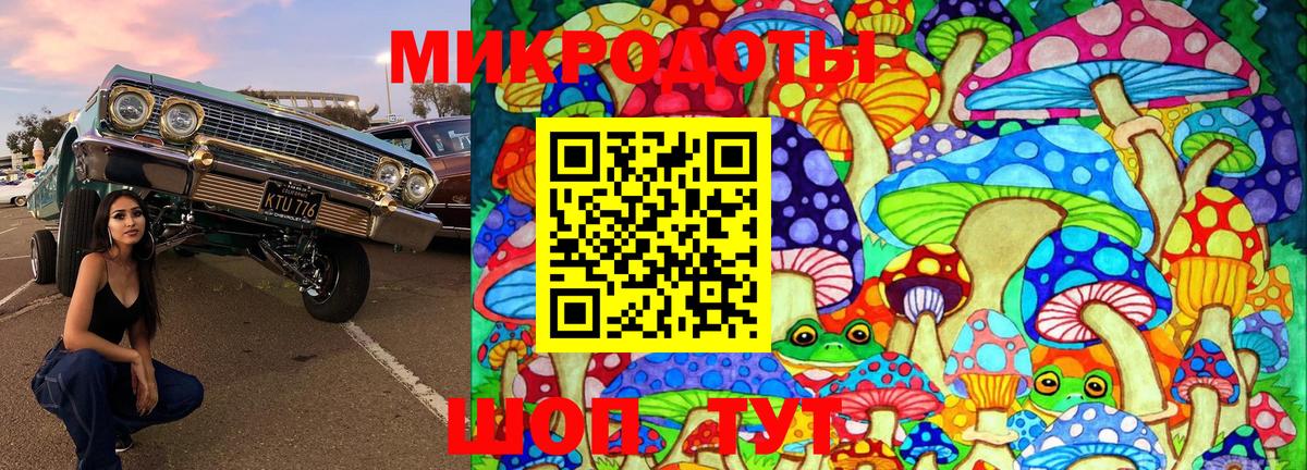 Галлюциногенные грибы Psilocybe Клинцы