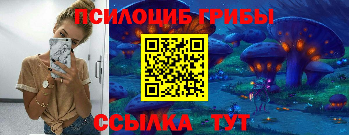 Галлюциногенные грибы мицелий  Вход с VPN  где найти   Клинцы 